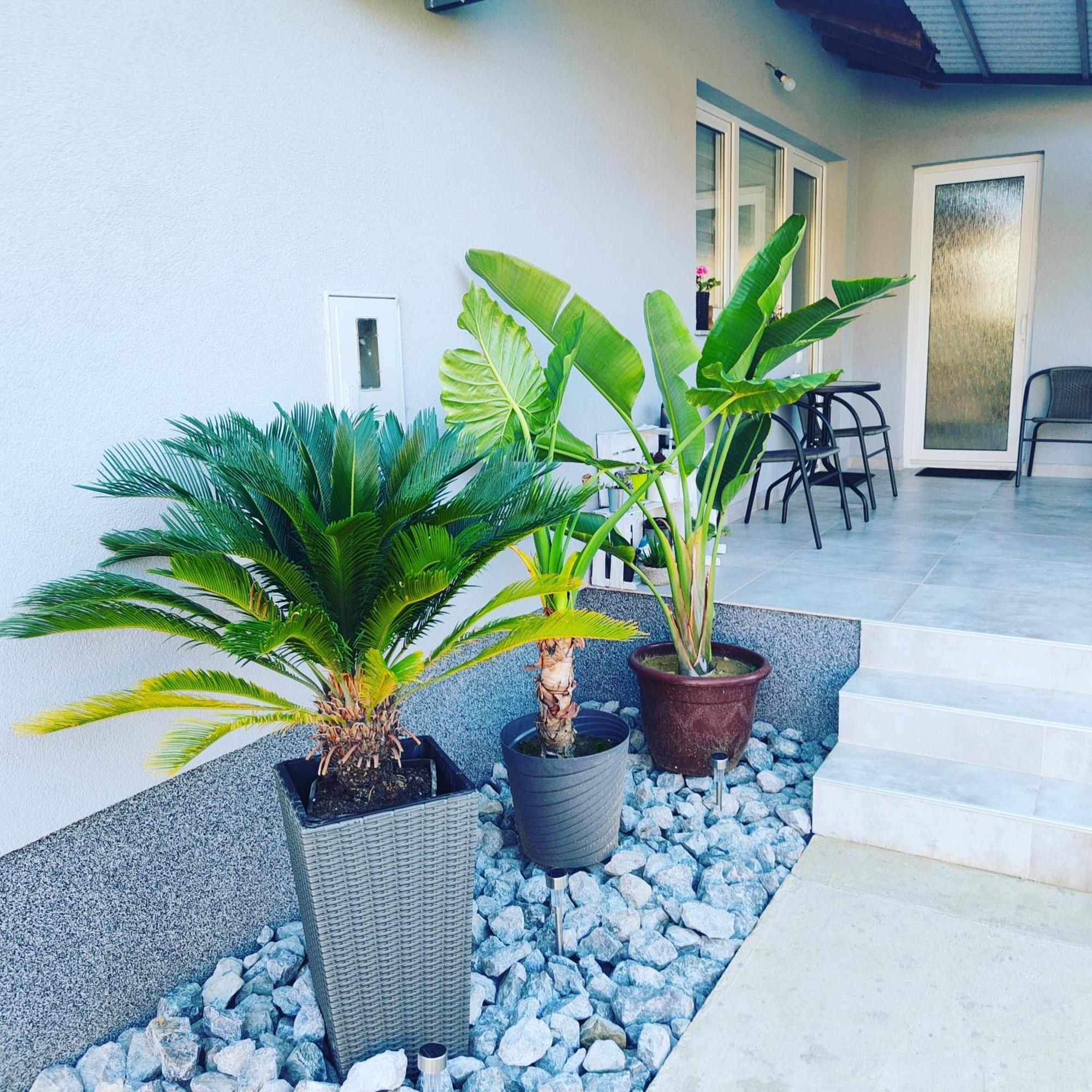 Apartmani Sun & Moon Bjelovar Zewnętrze zdjęcie